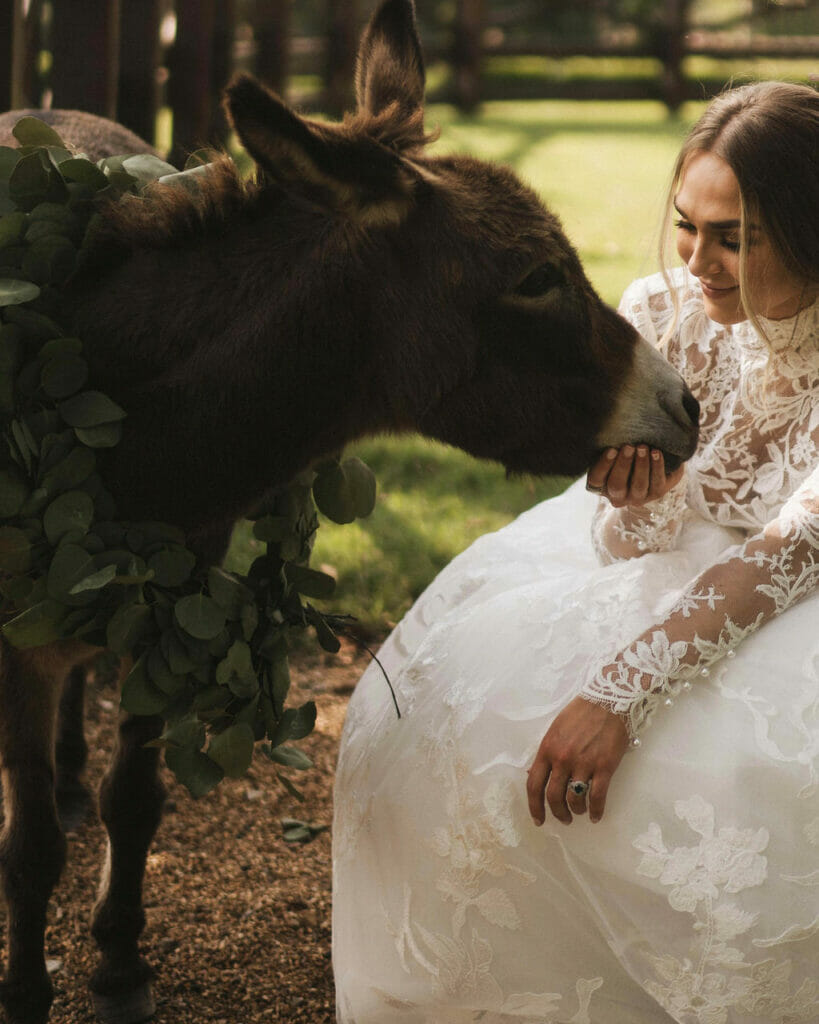 Bride with animal on private estate wedding 
